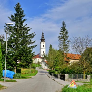 mustrova-pot-17-haloze-foto-crtomirrosic-tzptuj